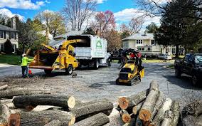 Best Firewood Processing and Delivery  in Heceta Beach, OR