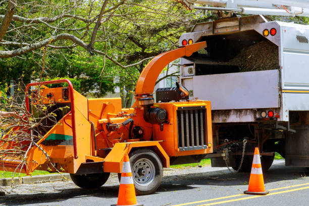 Best Tree and Shrub Care  in Heceta Beach, OR